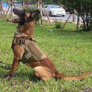 ICEFANG Airborne Ranger Green/Olive Green Tactical/Working Dog Harness